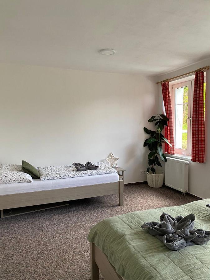 Apartman Pod Vlekem Horní Malá Úpa エクステリア 写真