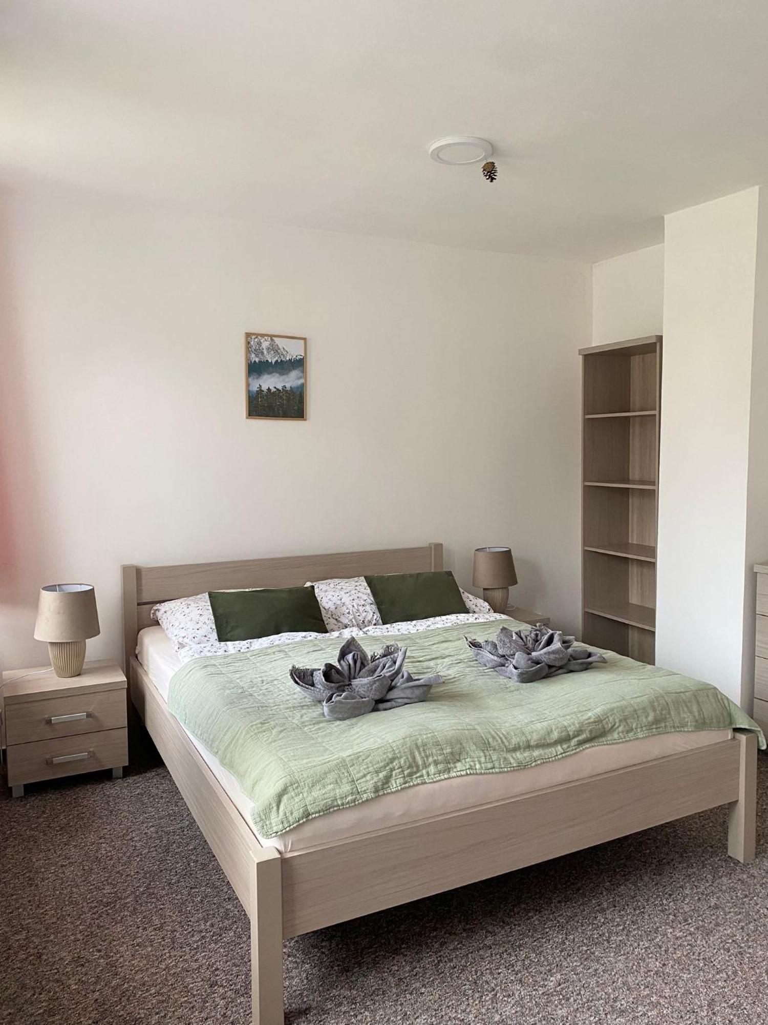 Apartman Pod Vlekem Horní Malá Úpa エクステリア 写真